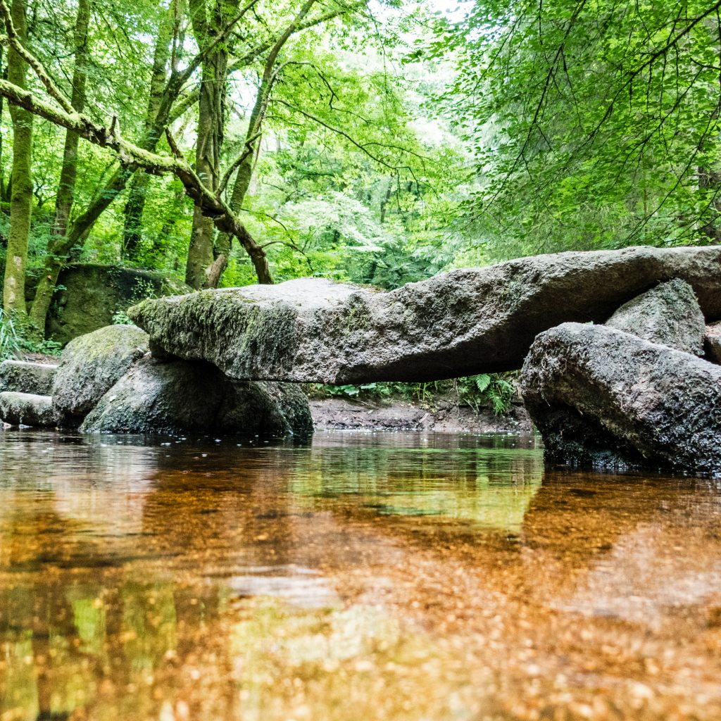 Week-end énérgétique