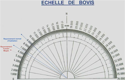 echelle de bovis